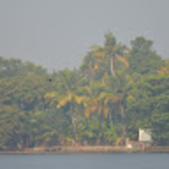 Meet your Posher, Sureshan - Picture 1 of 1